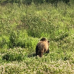 Meet your Posher, Kim